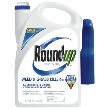 Roundup Ready-To-Use Weed & Grass Killer III Trigger Sprayer , 1 (Best Weed Killer For Bamboo)