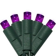 50 Count 5mm Led Lights,Outdoor Mini Led String Lights for Garden Patio Halloween Christmas Trees Lighting Decorations,17 Feet Green Wire,Purple Color