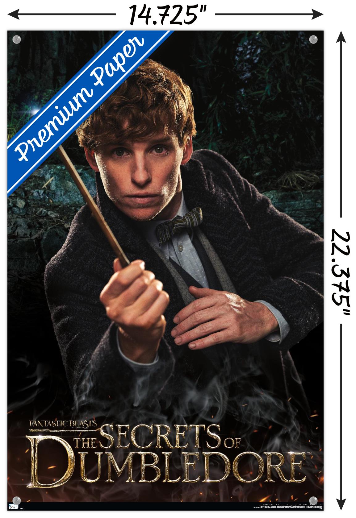 Fantastic Beasts: The Secrets of Dumbledore - Newt Wall Poster with Push Pins, 14.725" x 22.375"