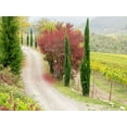 thumbnail image 2 of Eggers, Julie 14x12 Gold Ornate Wood Framed with Double Matting Museum Art Print Titled - Italy-Chianti Gravel road winding through a vineyard in autumn in the Chianti region of Tuscany, 2 of 4