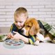 thumbnail image 4 of Juguete interactivo para perros, juguetes educativos para perros, juguetes para perros de alimentación lenta, juguetes educativos para mascotas para gatos y perros, 4 of 4