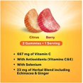thumbnail image 5 of (3 Pack) Airborne Vitamin C 500mg - Airborne Kids Assorted Fruit Flavored Gummies (21 count in a bottle), Gluten-Free Immune Support Supplement with Echinacea and Ginger, Packaging May Vary, 5 of 5