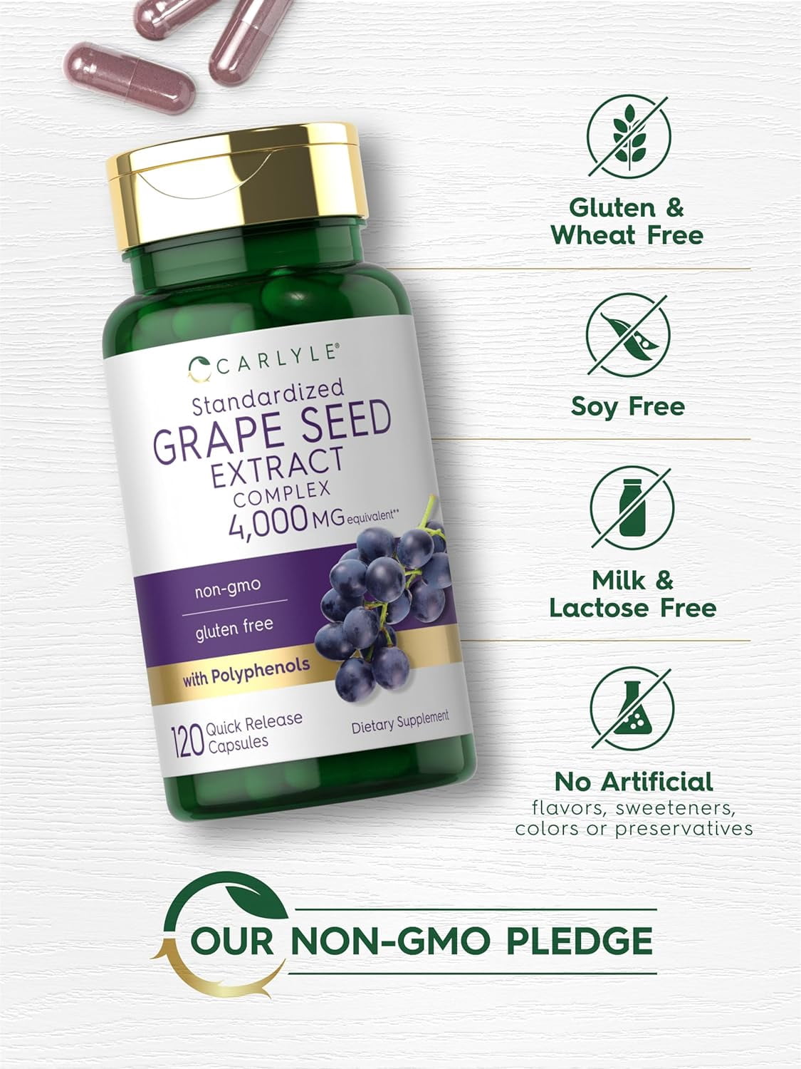 人気 売れ筋 Grape SEED 1〜26 / 12〜26
