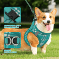 thumbnail image 5 of Magshion No Pull Dog Harness with Leash, No Choke Reflective Pet Vest Adjustable Breathable Mesh Harnesses Dogs Walking, Lawn Green S, 5 of 10