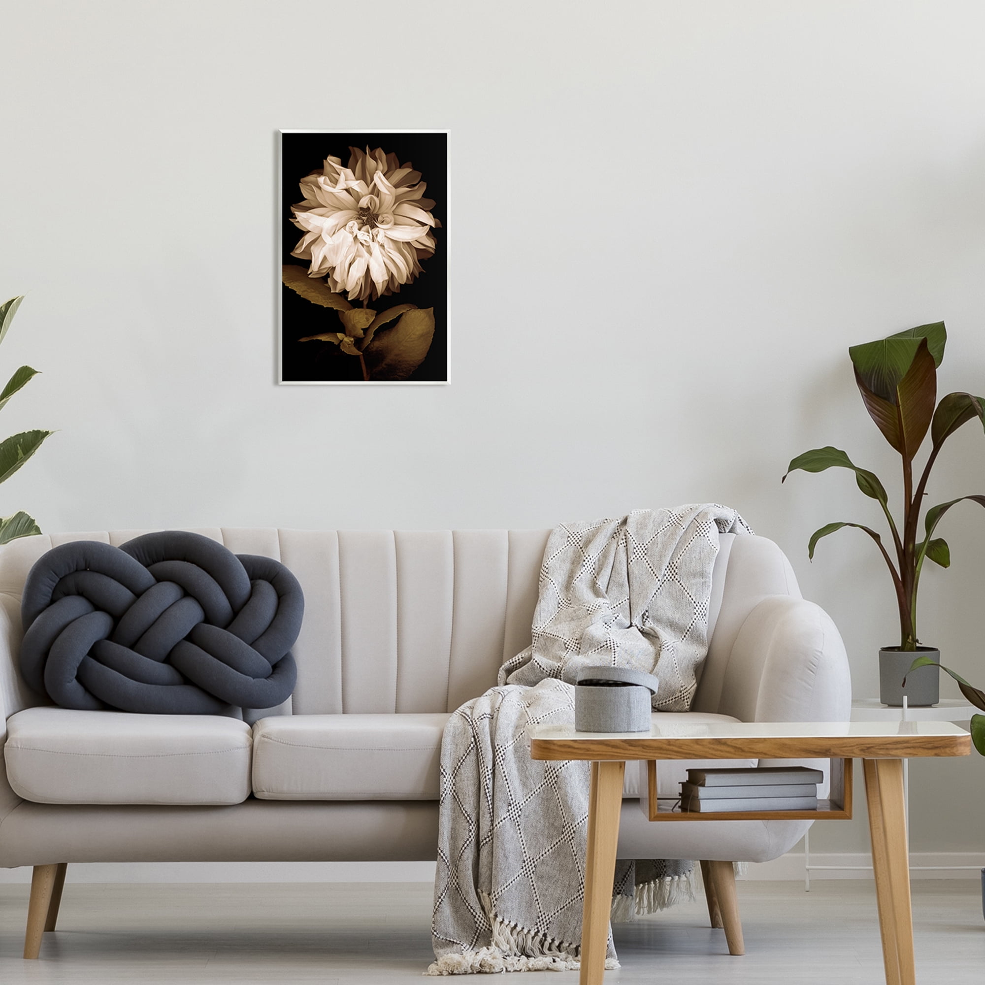 Stupell Modern White Chrysanthemum Petals Botanical & Floral Photography Wall Plaque Unframed Art Print Wall Art