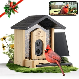 Bird Buddy Pro Solar Smart Bird Feeder, Camera, AI Bird ID, HD+