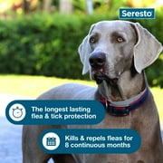 Seresto Large Dog Vet-Recommended 8-Month Flea & Tick Prevention Collar, 18+ lbs