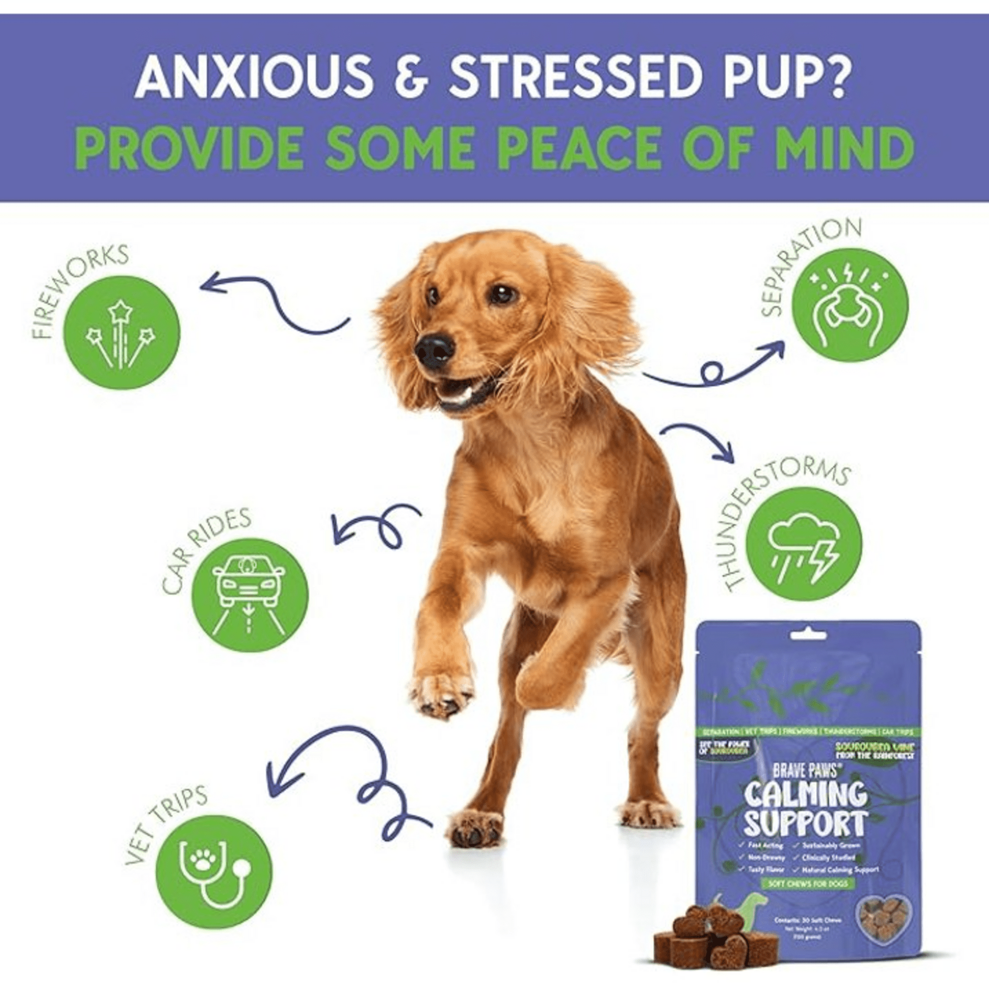 Brave Paws Calming Chews for Dogs & Puppies, 6-Pack | 180 Chews Total | Natural Anxiety Relief for Thunderstorms & Fireworks