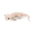 thumbnail image 3 of Gprince Simulation Wild Reptile Animals Action Figures Lifelike Lizard Model Figurines Kids Cognitive Educational Toys, 3 of 7
