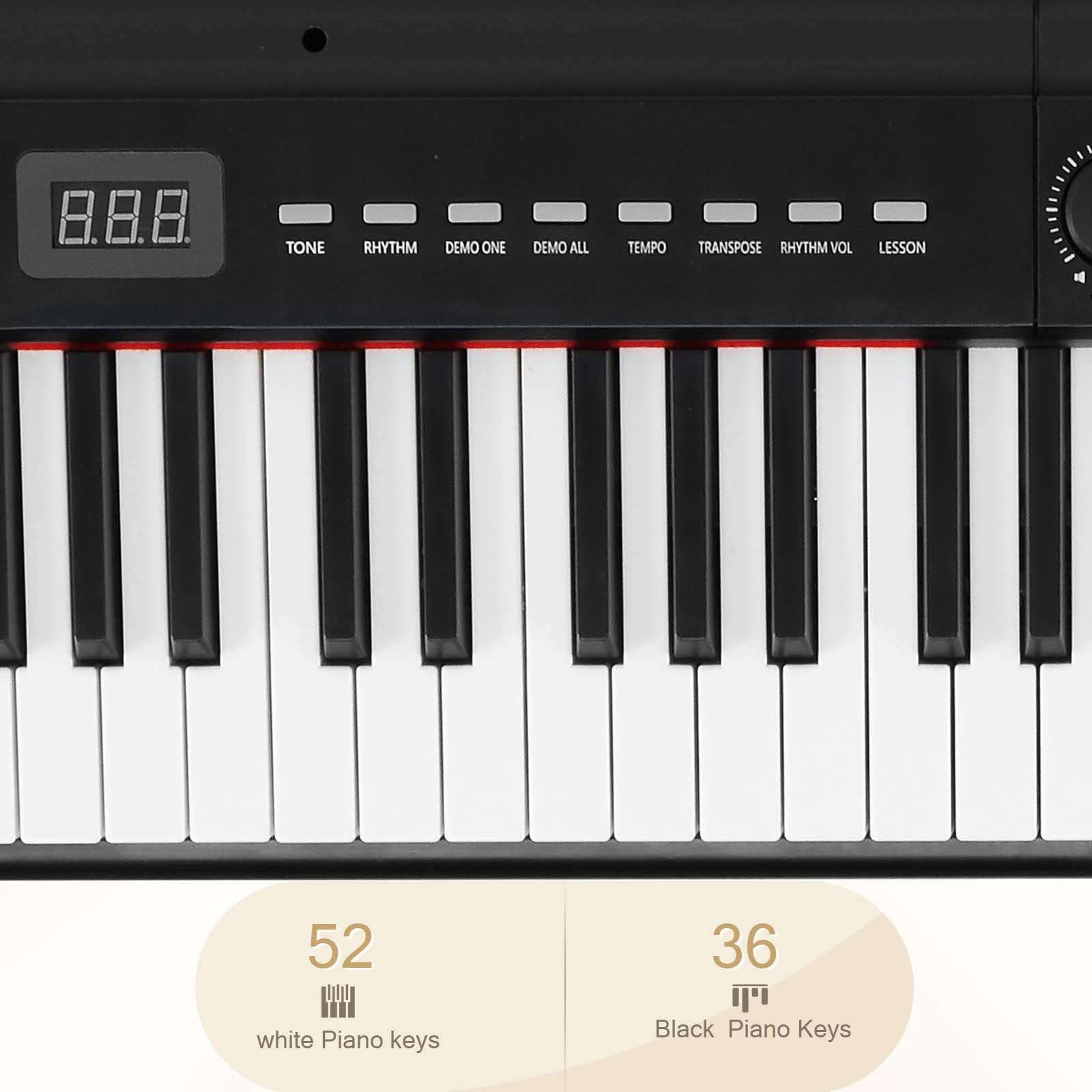 Favory 88 Keys Full Size Portable Piano Keyboard for Beginner Electric Piano Keyboard with microphone, music stand, sticker