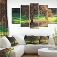 thumbnail image 1 of Arbre d'Automne Solitaire et Magnifique, 1 of 1