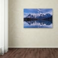 thumbnail image 3 of Trademark Fine Art 'Torres Del Paine' Canvas Art by Vladimir Driga, 3 of 3