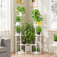 thumbnail image 4 of 5 Tier  Stand Indoor,  Shelf for Multiple , Flower Pot Holder Shelf, Planter Display Rack for Patio Garden Balcony  Room  Decor, White, 4 of 7