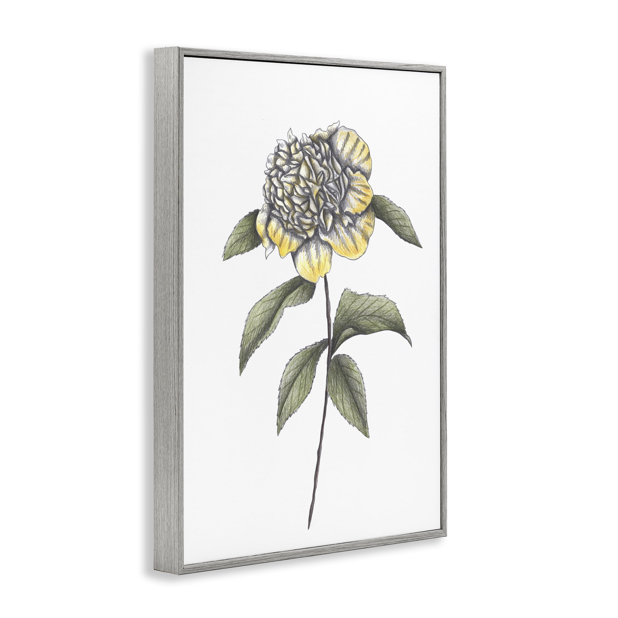 Camellia Flower Illustration Gray Framed Giclee Art, design by Cecilia Battaini