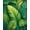 Lime, Pattern 1, variant on Flatwoven High Traffic Area Rug, Tropical Monstera Leaf Canopy, Non Slip, Stain Resistant, Washable Area Rugs for Living Room, Bedroom(Lime, 2X3)