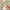 khaki, variant on MVPCLO Dark-Souls Praise The Sun Hoodies Game Graphic Sweatshirts Long Sleeve Hooded Pullovers