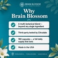 thumbnail image 6 of Brain Blossom Cognitive Support Supplement, Supports Focus, Memory & Mental Clarity, Herbal Formula, 180 Capsules, 6 of 9