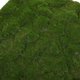 thumbnail image 3 of USHOBE 2Ud Alfombra De Césped Artificial Para Uso En Exterior E Interior Con Aspecto Natural, 3 of 6