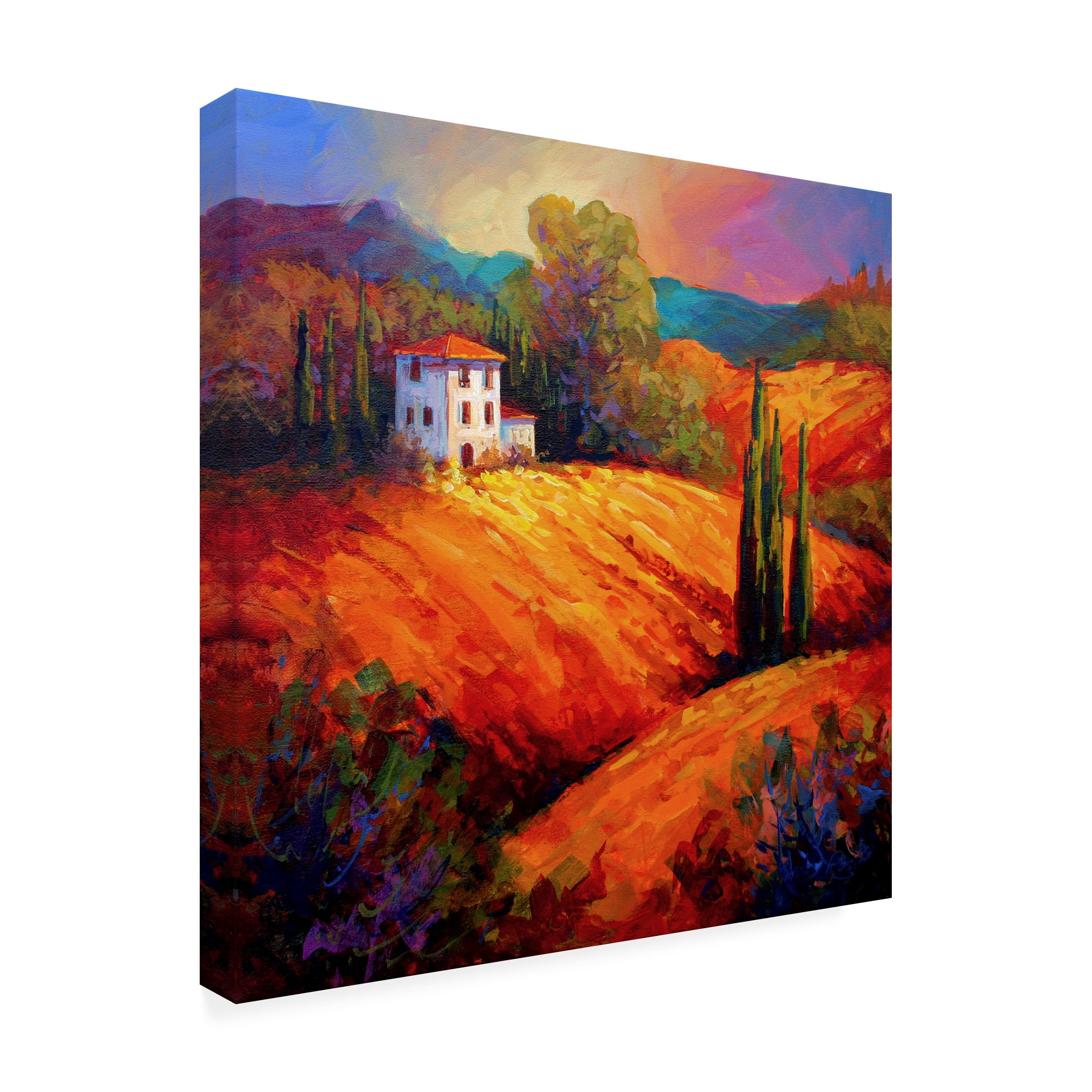 Marion Rose 'Tuscan Villa Evening' Outdoor Canvas