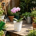 thumbnail image 5 of Clear Orchid Pot with Holes, Transparent Breathable Planter for Phalaenopsis, Indoor Plant Pot with Drainage and Tray, Perfect for Monitoring Root Health, Great Plant Lover Gift, 5 of 6