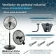 thumbnail image 3 of Ventilador Industrial De Pedestal Pared 2 En 1 Uso Rudo Beckon Jardín Exteriores Bodega Centro De Trabajo Comercio Eventos, 3 of 8