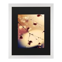 Trademark Fine Art 'Summer Concert' Canvas Art by Beata Czyzowska Young