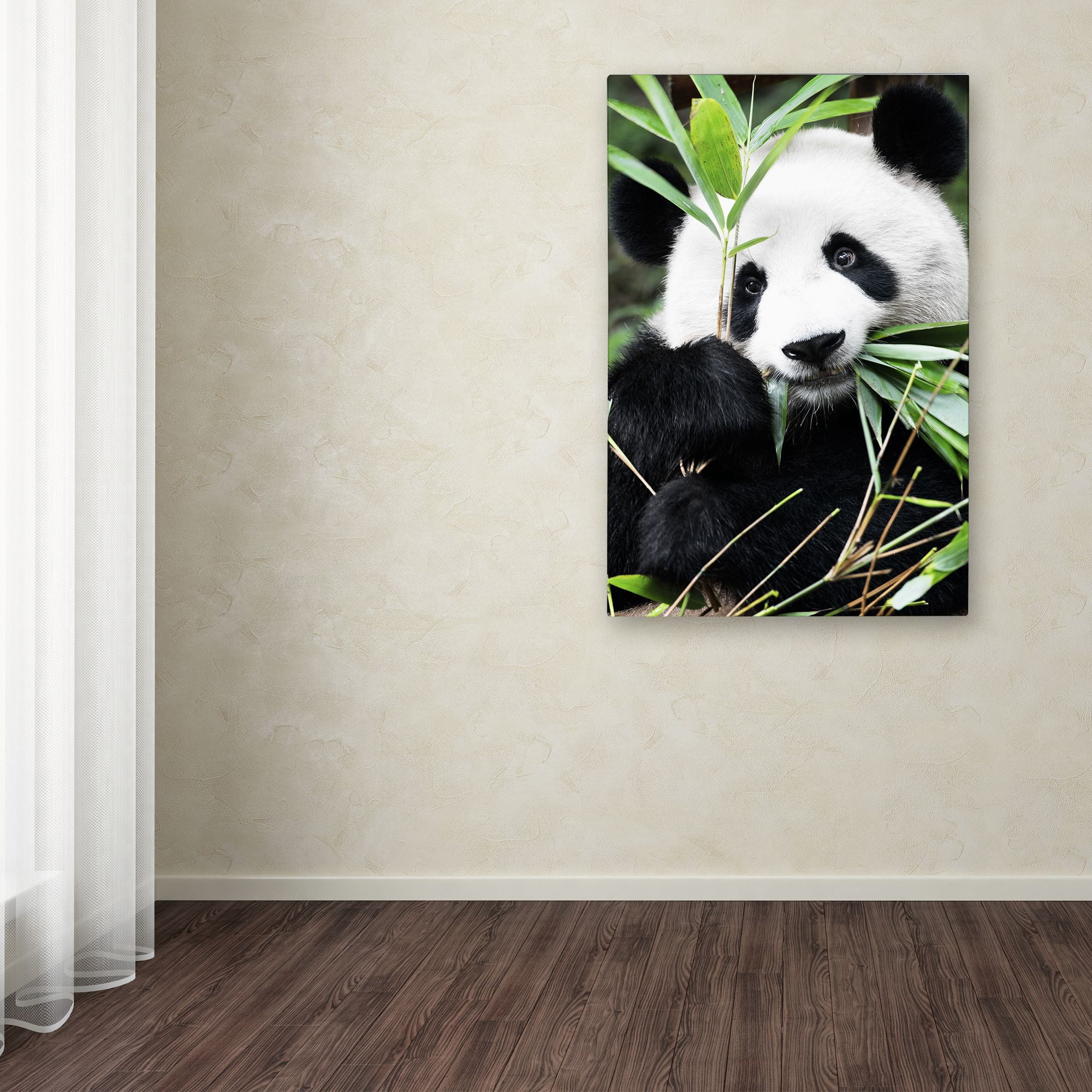 Trademark Fine Art "Giant Panda I" Canvas Art by Philippe Hugonnard