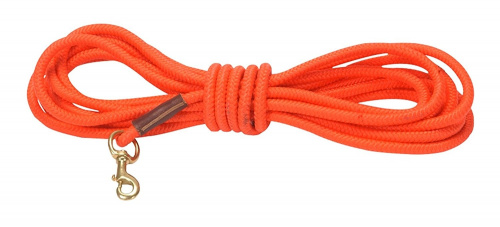 Avery Hundehalsband In Leuchtorange – 3 Größen, Leicht, Mit Schnalle, Gut Sichtbar Bei Dunkelheit