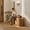 Wood, variant on Cedarra 40" to 98" Extendable Soild Wood Bench,Wooden Bench