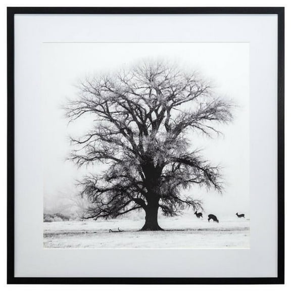 Yosemite Home Decor "Winter's Morning Fog IV" Glass Wall Art in Black
