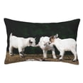 thumbnail image 1 of Balery Cute Goat Baby Funda de Cojín Estampada, Regalos para Mujeres, Regalos de Amor para Ella, Regalos para Novia o Esposa, Funda de Almohada-20"x30", 1 of 6