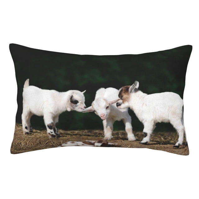 Balery Cute Goat Baby Funda de Cojín Estampada, Regalos para Mujeres, Regalos de Amor para Ella, Regalos para Novia o Esposa, Funda de Almohada-20"x30"