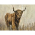 thumbnail image 2 of Vassileva, Silvia 14x12 Gold Ornate Wood Framed with Double Matting Museum Art Print Titled - Highland Mountain Cow, 2 of 4