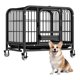 thumbnail image 1 of Jaula para perro plegable de metal con doble puerta bandeja antifugas y ruedas bloqueables resistente fácil montaje ideal para viajes entrenamiento y, 1 of 8