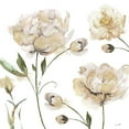 thumbnail image 2 of Sophie 6 12x12 White Modern Wood Framed Museum Art Print Titled - Brittany I, 2 of 4