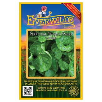 Semillas De Acelga Verde Natural - Paquete De 10g, Fácil Germinación, Ideal Para Huerto O Maceta
