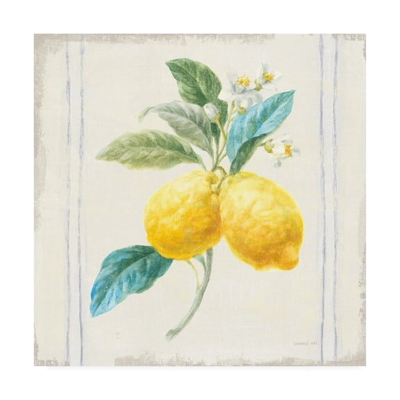 Trademark Fine Art 'Flour sack Lemons III Sq Navy' Canvas Art by Danhui Nai