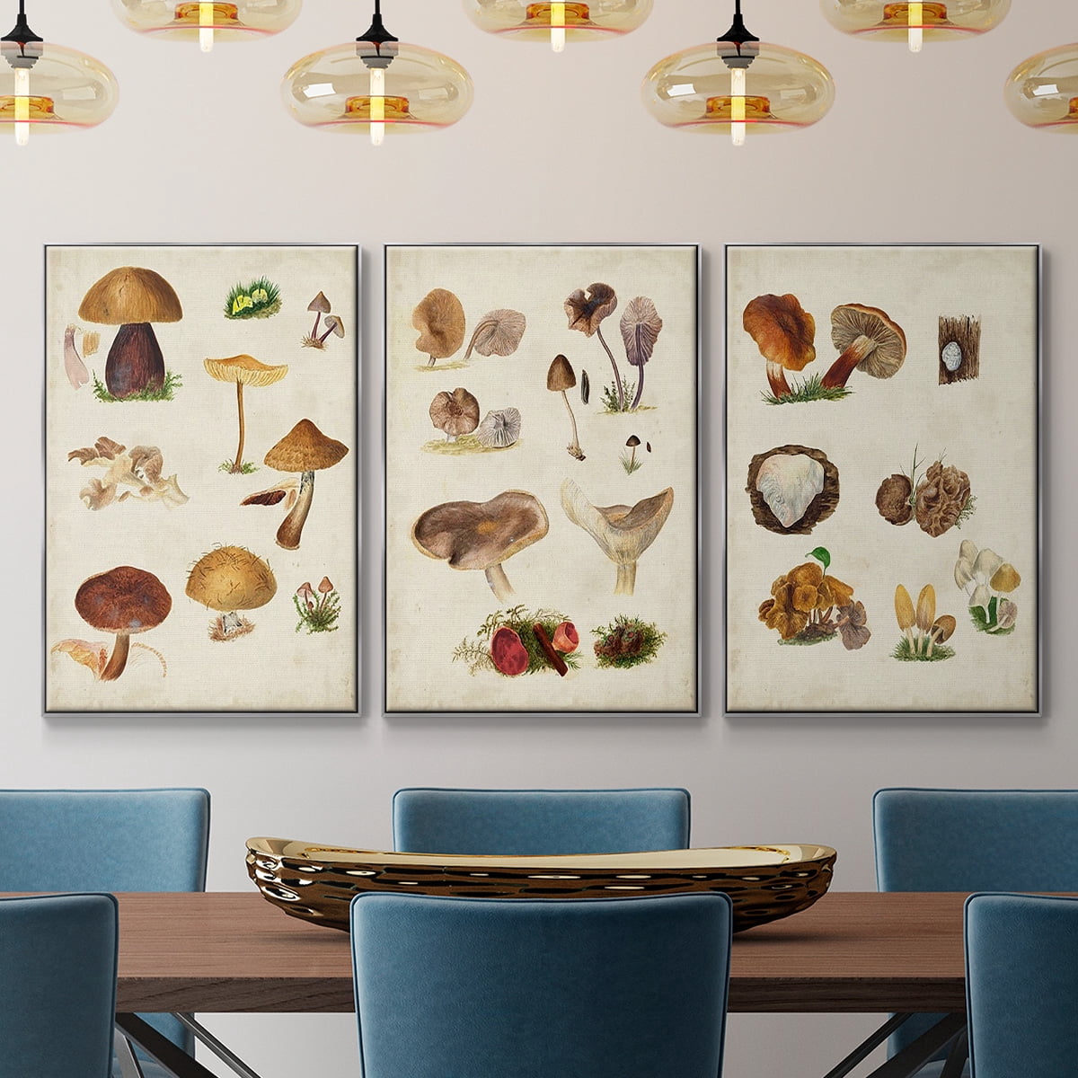 Mushroom Species I - Framed Premium Gallery Wrapped Canvas L Frame 3 Piece Set - Ready to Hang