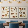 thumbnail image 2 of Mushroom Species I - Framed Premium Gallery Wrapped Canvas L Frame 3 Piece Set - Ready to Hang, 2 of 9