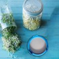thumbnail image 3 of Sprouting Jar Lid, Strainer Screen Canning Jars, Mason Jar Sprout Lids, Mason Jar Strainer Lid, Sprouting Lids, Mason Jars Lids, Microgreens Growing Kit, Canning Lids, Sprouting Kit, Blue, 3 of 7