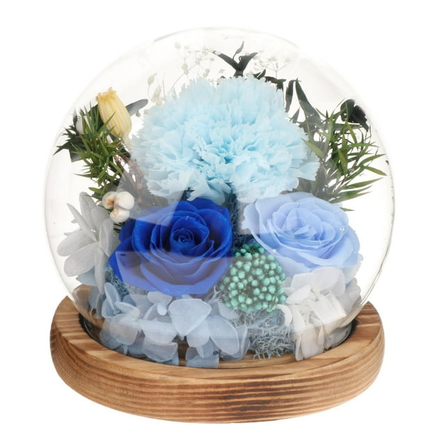 Regalo para el Día de la Madre, Regalo de Flores Preservadas, Regalo de Clavel para Mujeres, Regalo de Clavel azul