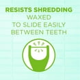thumbnail image 3 of Angled Clean Dental Floss Picks, Extra-Strong Shred-Resistant with Easy-Grip Handle, for Easy Reach, Fresh Mint Flavor, 75 Count (Pack of 4), 300 Total, 3 of 4