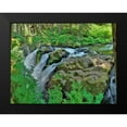 thumbnail image 2 of Johnson, George 24x19 Black Modern Framed Museum Art Print Titled - Port Angeles Falls I, 2 of 5