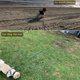 thumbnail image 4 of Correa larga con cordón a cuadros para perros, BTINESFUL, 30 pies, azul, 4 of 9
