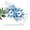 Blue Flowers, variant on 1 Pcs 2D Flat License Plate Covers & Frames, Blue Flowers For Decorative Front, Waterproof For Decoration Aluminum License Plate Covers & Frames Cover For Men Women, 12" X 6"