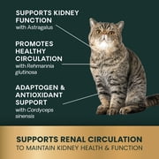 VetriScience Kidney Health Tablets for Cats, Chicken, 120 Count