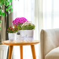thumbnail image 4 of Self Watering Planters for Indoor Plants, 3 Pack 6 Inch African Violet Pots, Modern Decorative Flow, 4 of 7