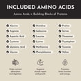 thumbnail image 2 of JUST INGREDIENTS Clean Protein Powder – Grass-Fed Whey + Whole-Food Protein Blend | 22–24g Protein | No Artificial Sweeteners or Sugar Alcohols (30 Servings, Vanilla Bean), 2 of 7