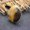Tiger Eye, variant on Irregular Ring Natural Crystal Chakra Oval Quartz Opening Healing Reiki Jewelry-Rose Quartz