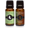 thumbnail image 1 of Aceite aromático Eternal Essence Oils, 10 ml, paquete de 2 unidades, pachulí, azafrán y romero, 1 of 4